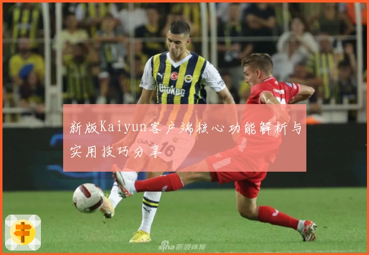 新版Kaiyun客户端核心功能解析与实用技巧分享