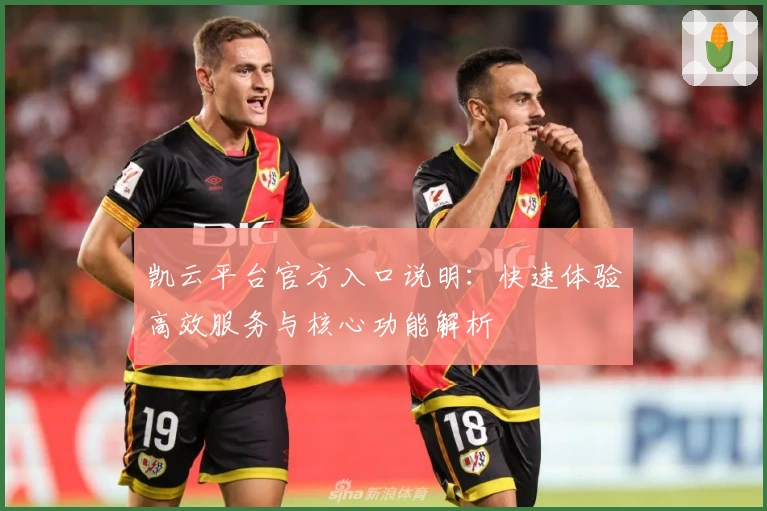 凯云平台官方入口说明:快速体验高效服务与核心功能解析