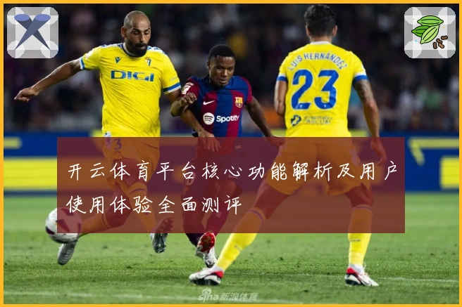 开云体育平台核心功能解析及用户使用体验全面测评